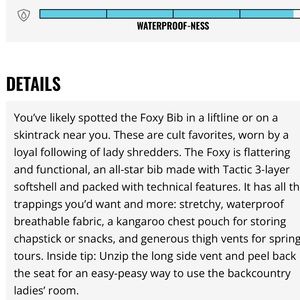 FLYLOW Foxy bib ski / snowboard pant